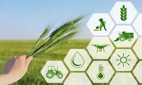 اعلام ضریب امنیت غذایی در ایران | چقدر از مواد غذایی مورد نیاز در ایران تولید می‌شود؟