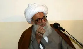 آیت‌الله العظمی بشیر نجفی: همه انسان‌های آزاده برای استرداد اراضی غصب شده در کنار مردم فلسطین بایستند