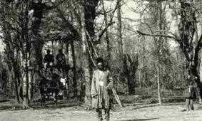 سفر به عصر قاجار؛ مردان بندر انزلی بالای درخت برای جمع‌آوری کرم ابریشم 