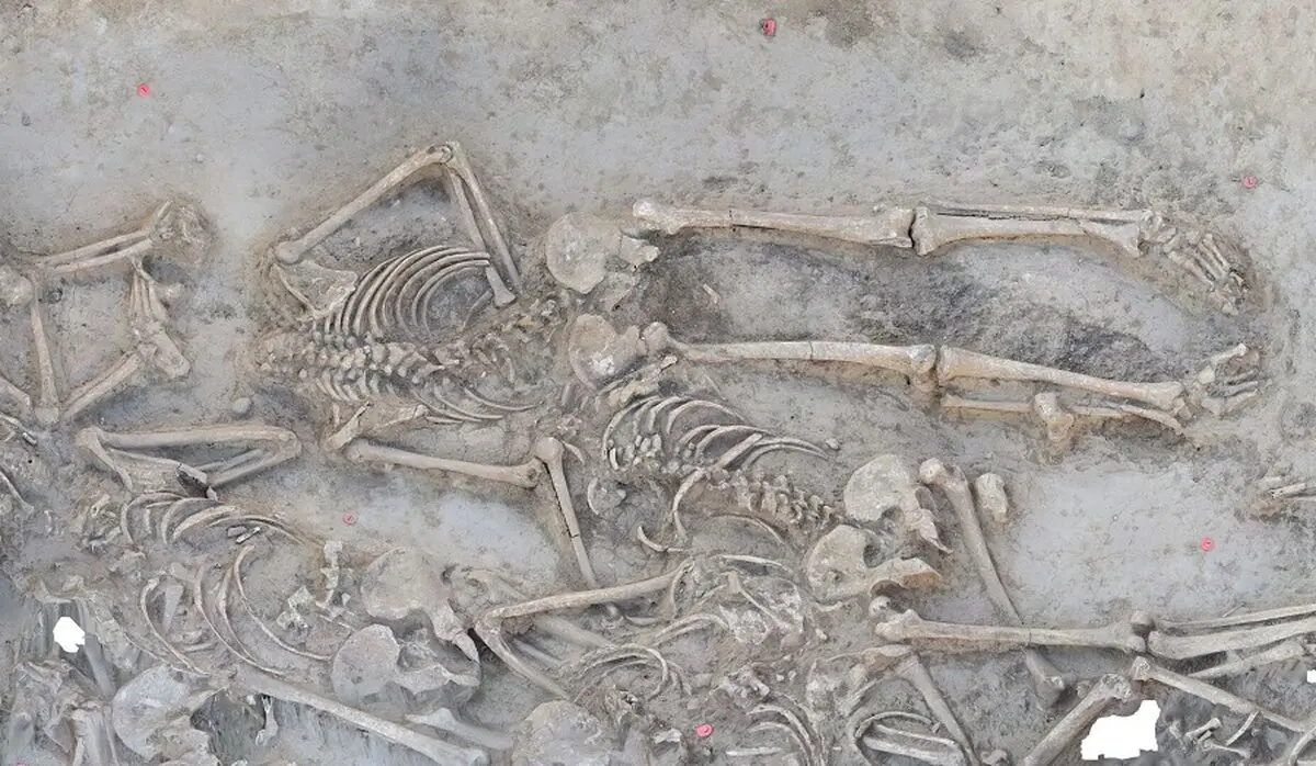 معمای یک گور جمعی ۷ هزارساله با اسکلت‌های بدون سر