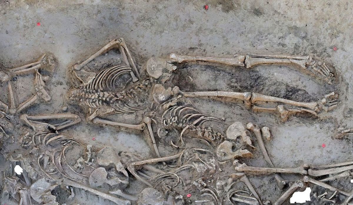 معمای یک گور جمعی ۷ هزارساله با اسکلتهای بدون سر