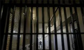 حبس یک قصاب بخاطر کشتار ۳ گوسفند