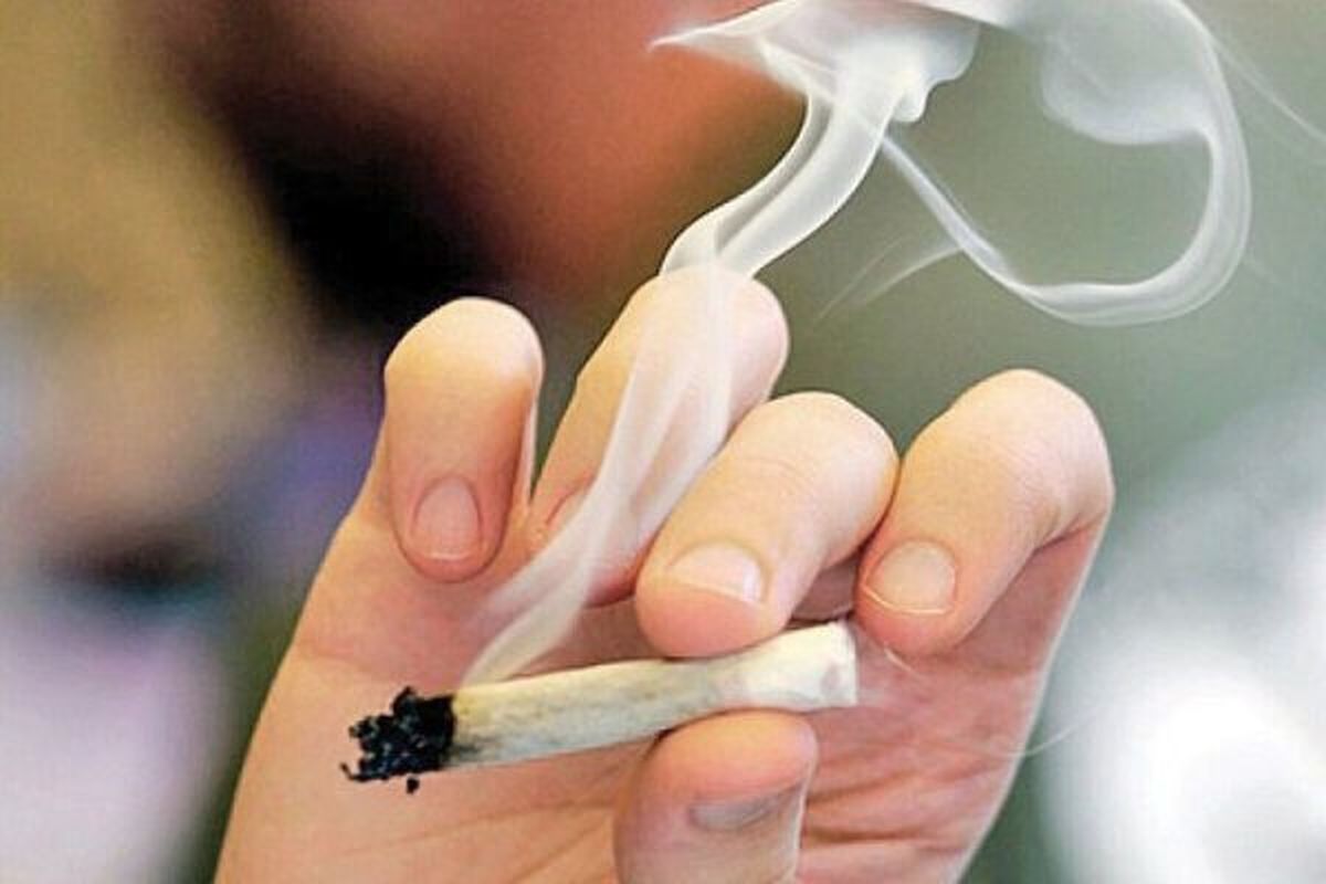 بلایی که مادهٔ مخدر کروکودیل سر بدن میآورد/ اینفوگرافی