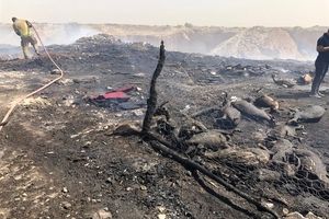 تلف شدن ۱۸ راس بز در آتش سوزی دامداری سیمین دشت فیروزکوه