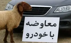 مبادله کالا با کالا راه افتاد؛ بازار عجیب معاوضه گوسفند و سیم کارت با خودرو در ایران/ عکس