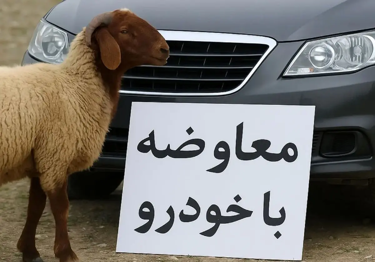 مبادله کالا با کالا راه افتاد؛ بازار عجیب معاوضه گوسفند و سیم کارت با خودرو در ایران/ عکس