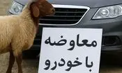 مبادله کالا با کالا راه افتاد؛ بازار عجیب معاوضه گوسفند و سیم کارت با خودرو در ایران/ عکس
