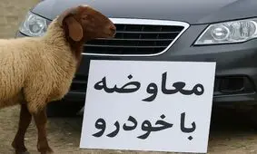 مبادله کالا با کالا راه افتاد؛ بازار عجیب معاوضه گوسفند و سیم کارت با خودرو در ایران/ عکس