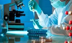 خرابی یک فریزر نتایج ۳ دهه تحقیق دانشمندان را از بین برد/ ویدئو

