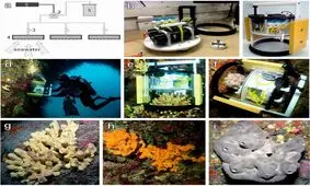این دستگاه آب را بو می‌کشد!

