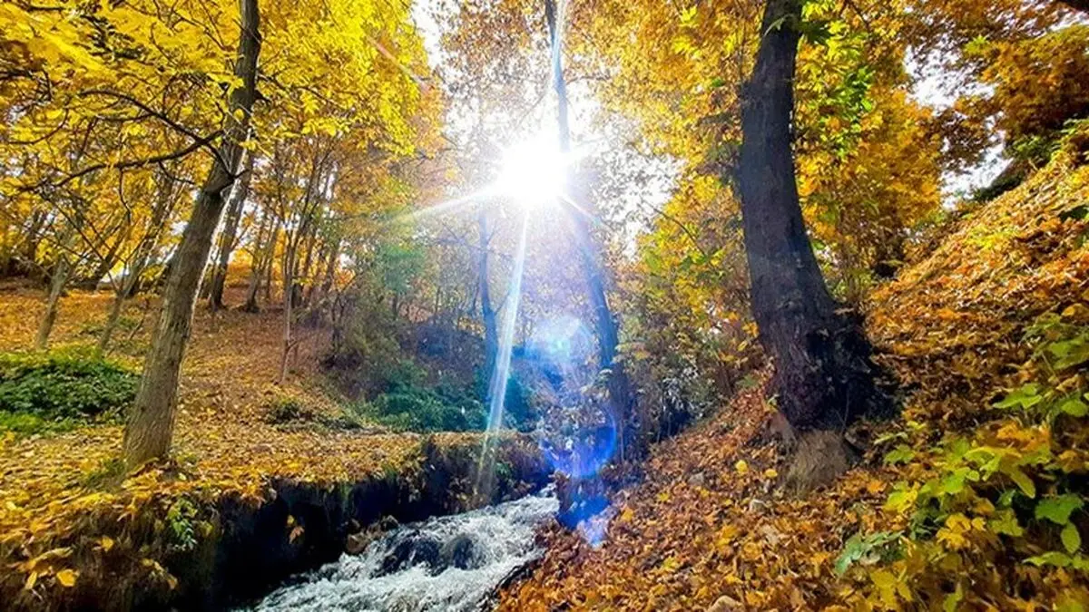 سرعت روند افزایش دما در ایران ۲ برابر میانگین جهانی

