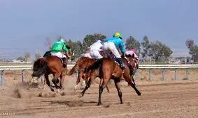 فوت چابکسوار در مسابقه اسبدوانی بندر ترکمن/ ویدئو حاوی تصاویر دلخراش
