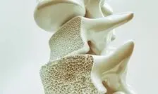 تراکم استخوان و پیری مغز؛ یک ارتباط غافلگیرکننده