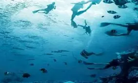 تست شخصیت /حس ششم و قدرت پیشگویی شما چقدر است؟