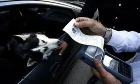 شوک کاربران از جریمه ۵۰۰ هزار تومانی برای سگ و گربه در خودرو