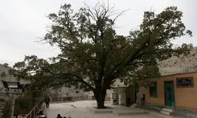 ثبت چهار اثر میراث طبیعی خوزستان در فهرست واجد ارزش ملی