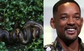 بازیگر مشهور هالیوود چگونه به شناسایی بزرگترین مار جهان کمک کرد؟