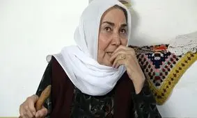 کارنامه خانم بازیگر، از تلویزیون تا سینما/ اینفوگرافی

