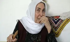 کارنامه خانم بازیگر، از تلویزیون تا سینما/ اینفوگرافی

