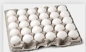 قیمت تخم مرغ درب مرغداری چند؟

