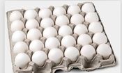 قیمت تخم مرغ درب مرغداری چند؟

