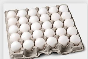 قیمت تخم مرغ درب مرغداری چند؟

