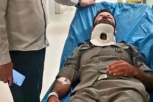 ضرب و شتم محیط‌بان شمیرانات توسط متعرضان غیرمجاز 