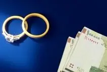 حاجی‌دلیگانی: افزایش وام ازدواج در گروی اصلاح لایحه دولت است

