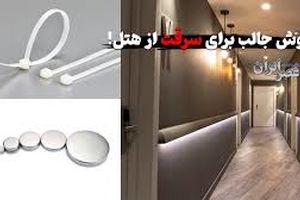 روش جالب برای سرقت از هتل/ ویدئو