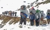 بخشنامه دریافت مالیات و عوارض از رویه های کولبری و ملوانی ابلاغ شد

