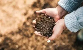 با کودها خداحافظی کنید!

