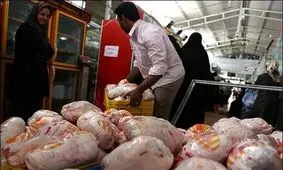 مرغ در سراشیبی قیمت