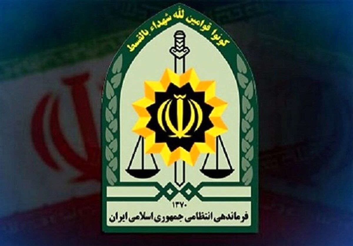دستور ویژه پلیس برای بررسی کلیپ ضرب و شتم یک شهروند