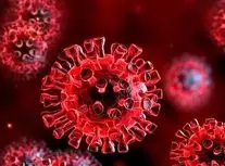 چه چیزی در خون بیماران کووید طولانی پنهان است؟/ ویدئو