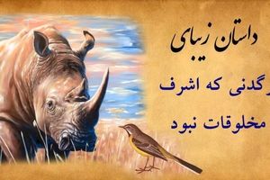 داستان کرگدنی که اشرف مخلوقات نبود، اما رنج دیگران را درک می کرد