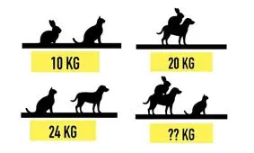  معماهای ساده  زیر را می توانید حل کنید؟

