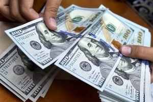 ۴۰۰ میلیارد دلار مداخله در بازار ارز ایران طی ۲۰ سال