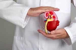 تغذیه مناسب برای حفظ سلامت کلیه‌ها