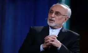 نامه محرمانه مخالفان مذاکره به دفتر رهبری به روایت علی اکبر صالحی/ ویدئو

