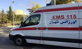 حمله سگ‌ های خانگی به مامور اورژانس تهران