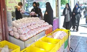 قیمت مرغ پر کشیده؛ مطالبات کشاورزان نیز پرداخت نشده
