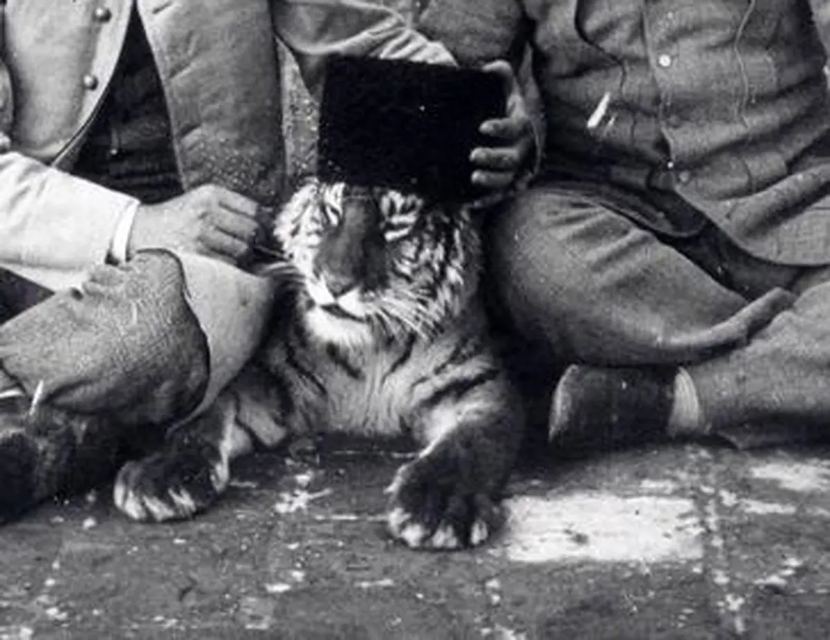 سفر در زمان؛ «ببر مازندران» با کلاه قاجاری در کنار «مشیرالسلطان» 