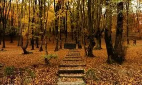 گرگان در وضع قرمز سرانه سبز/ «النگدره» قربانی تصمیمات احساسی نشود