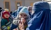 نرخ فرزندآوری در افغانستان ۳ برابر ایران است
