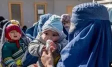 نرخ فرزندآوری در افغانستان ۳ برابر ایران است