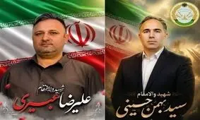 شهادت 2 نیروی ارتش در حملات اخیر اسرائیل/ انتقام و خونخواهی شهدا و این 2 شهید عزیز نباید فراموش شود