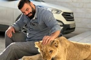 صحبت های جدید امیر علی اکبری در مورد نگه داشتن توله شیر در خانه