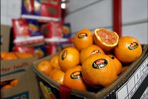 قاچاق میوه اسرائیلی به ایران؟/ اصل ماجرا چیست؟
