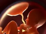 عبور میکروپلاستیک‌ها از جفت جنین و تغییر تولید هورمون‌ها