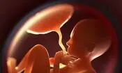 عبور میکروپلاستیک‌ها از جفت جنین و تغییر تولید هورمون‌ها
